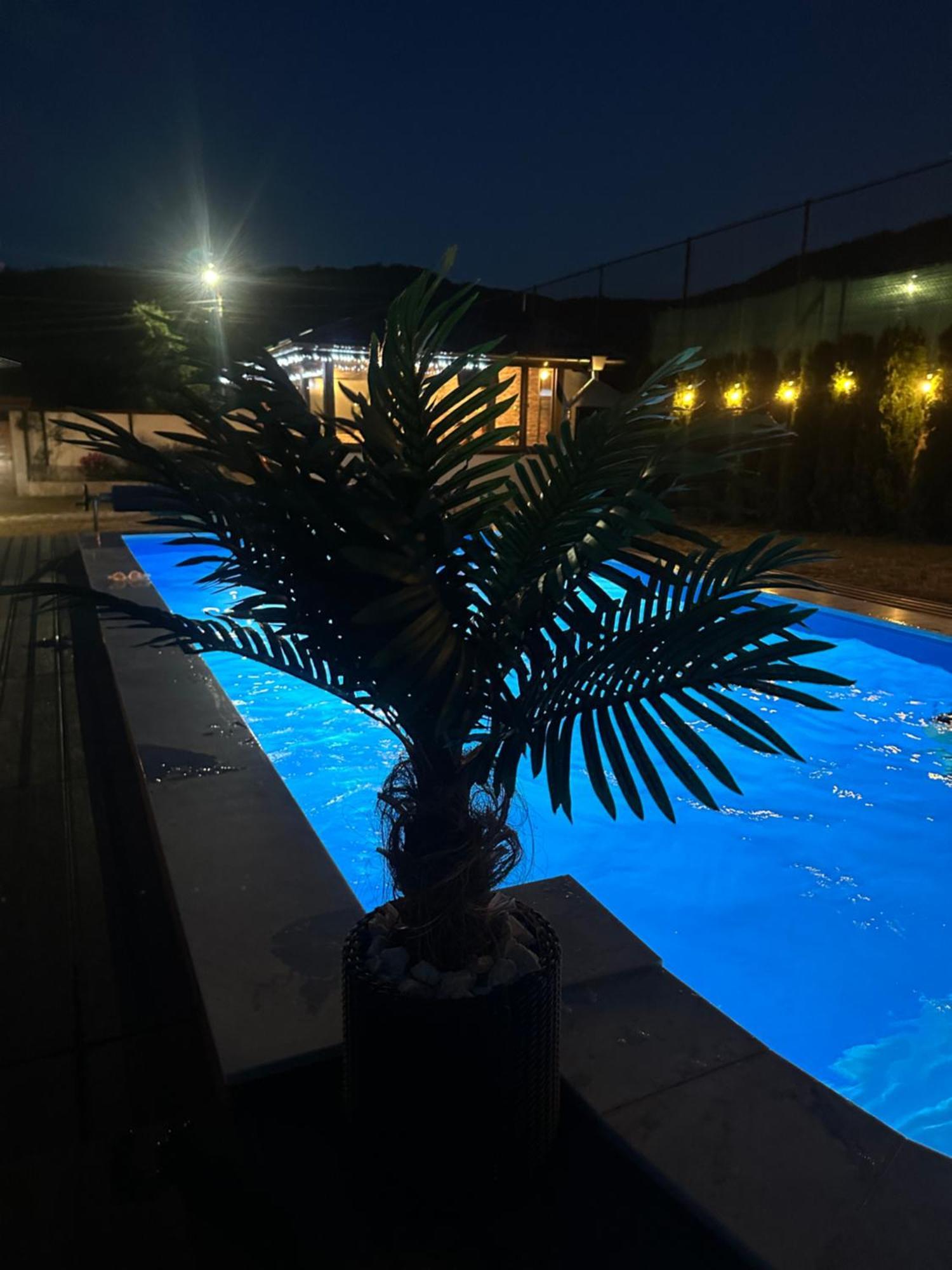 Villa Paradise Beli Iskar Bagian luar foto