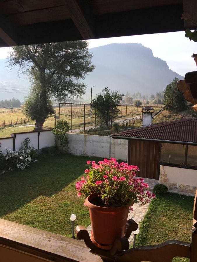 Villa Paradise Beli Iskar Bagian luar foto